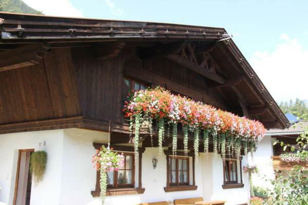 Waldesruh Apartment Niederthai Εξωτερικό φωτογραφία